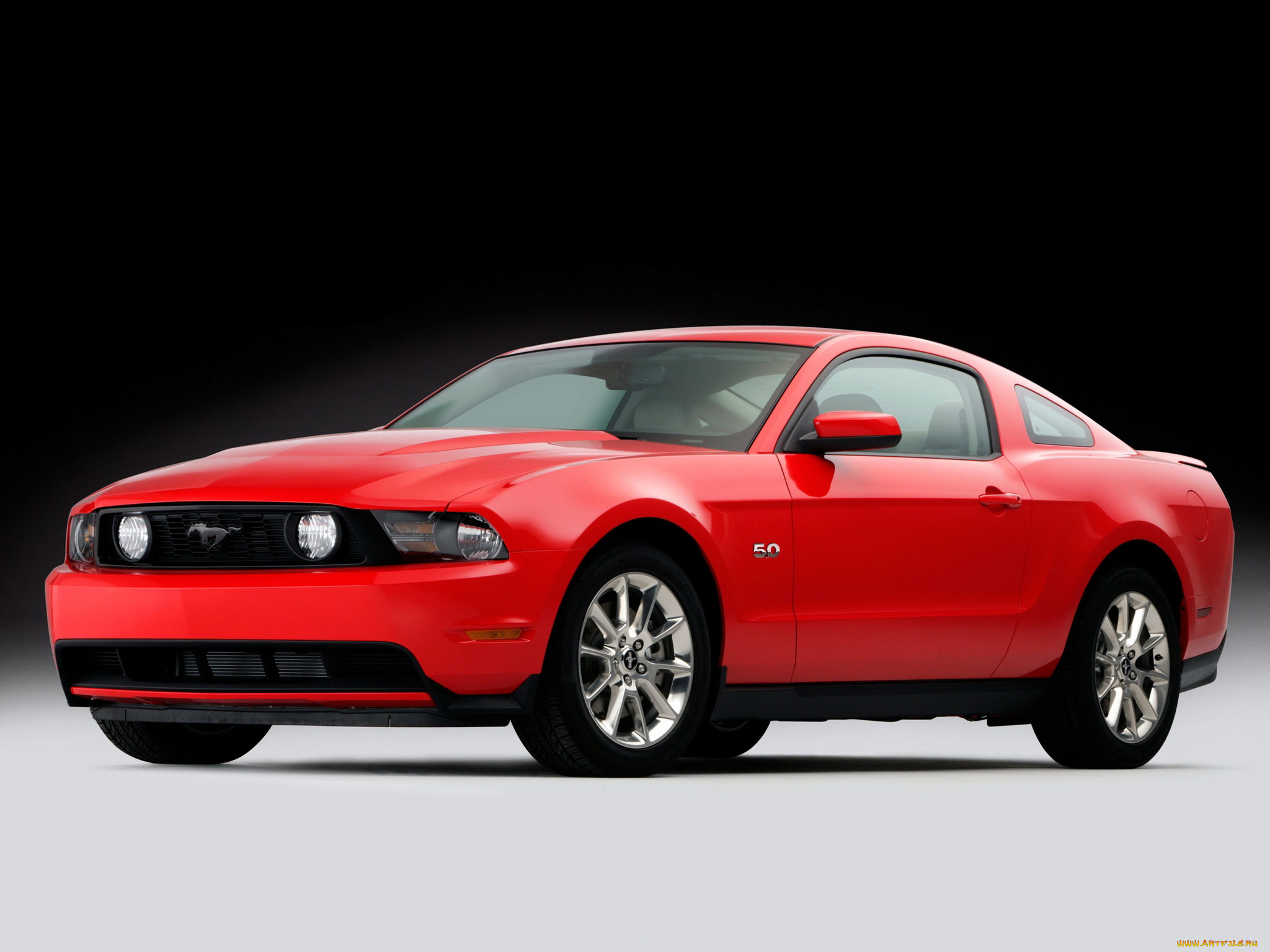 , mustang